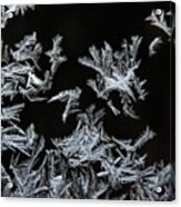 Frosty Glass 2018 Acrylic Print