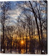 Frozen Forest Floor Acrylic Print