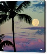 Full Moon And Palm Trees Acrylic Print