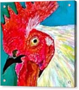 Funky Rooster Acrylic Print