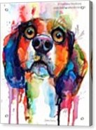 Funny Beagle Watercolor Portrait By Acrylic Print