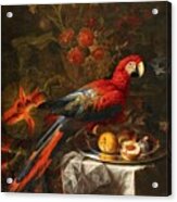 Gabriello Salci  Fruit Still Life With A Parrot Acrylic Print