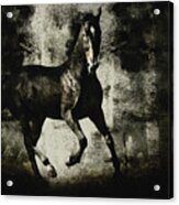 Galloping Horse Artwork Acrylic Print
