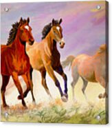 Galloping Horses Acrylic Print