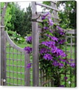 Garden Gate With Clematis Acrylic Print