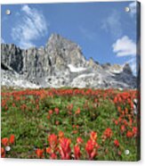 Garnet Lake Wildflowers Under Banner Peak - Sierra Acrylic Print