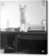 Ghost Cat, With Typewriter Acrylic Print