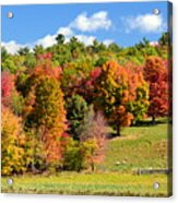 New Hampshire Foliage Acrylic Print