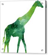 Giraffe African Animals Gift Idea Acrylic Print