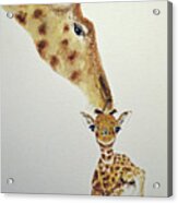 Giraffe And Baby Acrylic Print