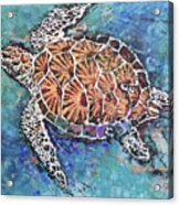 Glittering Turtle Acrylic Print