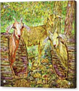 Goats Just Want To Have Fun Acrylic Print