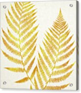 Gold Fern Leaf Art Acrylic Print