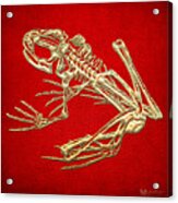 Gold Frog Skeleton On Red Leather Acrylic Print