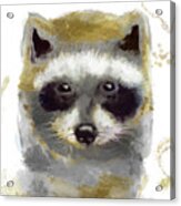 Golden Forest Raccoon Acrylic Print