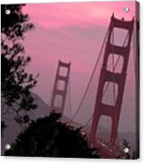 Golden Gate Pink Moment Acrylic Print