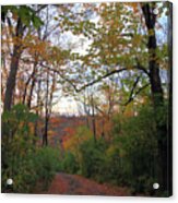 Golden Hour Of Autumn Acrylic Print