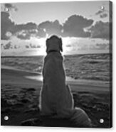 Golden Labrador Watching Sunset Acrylic Print
