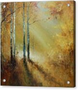 Golden Light In Autumn Woods Acrylic Print