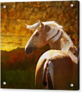 Golden Scout Acrylic Print