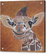 Goofy Giraffe Acrylic Print