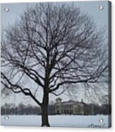 Graceful Tree And Belle Isle Eating Casino In Distance Acrylic Print