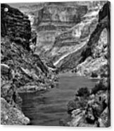 Grand Canyon Vista Acrylic Print