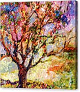 Grandmas Apple Tree Oil Painting Acrylic Print
