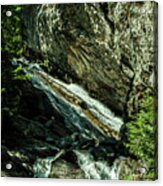 Granite Falls Of Ancient Cedars Acrylic Print