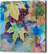 Grapes And Leaves Acrylic Print