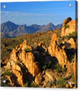 Grapevine Hills Acrylic Print