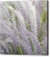Grass Is More - Nature In Purple And Green Acrylic Print