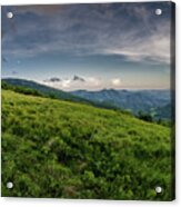 Grassy Field In Roan Mountain Highlands Acrylic Print