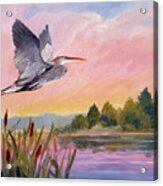 Great Blue Heron At Dawn Acrylic Print