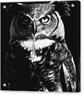 Great Horned Dragon Owl Acrylic Print