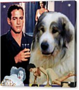 Great Pyrenees - Pyrenean Mountain Dog Art Canvas Print - Cat On A Hot Tin Roof Movie Poster Acrylic Print