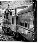 Great Smokey Mountain Railroad Looking Out At The Train In Black And White Acrylic Print