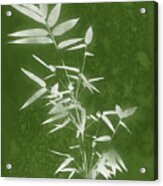 Green Bamboo 3- Art By Linda Woods Acrylic Print