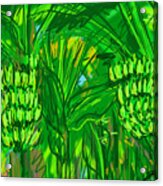 Green Bananas Acrylic Print