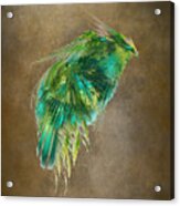 Green Bird - Fractal Art Acrylic Print