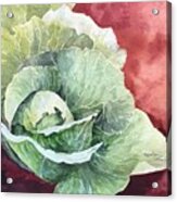 Green Cabbage Acrylic Print