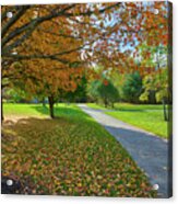 Green Hill Park And Recreation Acrylic Print