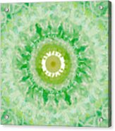 Green Mandala- Abstract Art By Linda Woods Acrylic Print