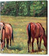 Green Pastures - Horses Grazing In A Field Acrylic Print