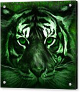 Green Tiger Acrylic Print