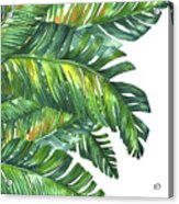 Green Tropic Acrylic Print