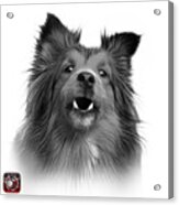 Greyscale Sheltie Dog Art 0207 - Wb Acrylic Print