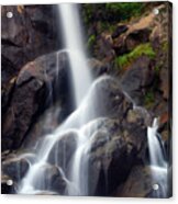 Grizzly Falls Acrylic Print