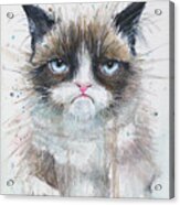 Grumpy Cat Watercolor Painting Acrylic Print