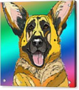 Gsd In Digi Yellow Acrylic Print